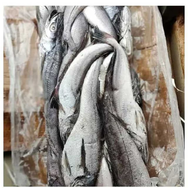 KPALI CARTON DE 15KG