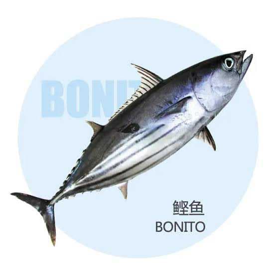 BONITO
