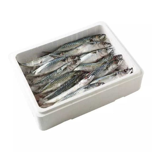 SALOUMON 20KG